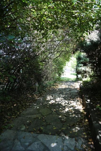 A L'Oree Des Cevennes Aigremont ภายนอก รูปภาพ
